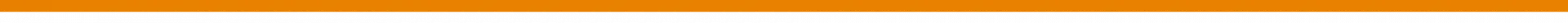 Orange Divider