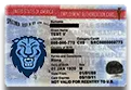EAD card